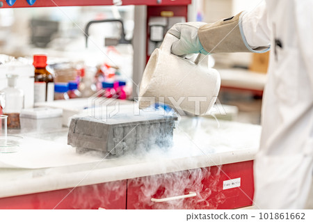 experiments with liquid nitrogen in the chemical laboratory. work and research with extreme temperatures 101861662
