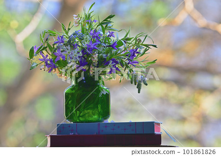 Spring Colorful Flowers in Vase near Window Spring Colorful Flowers in Vase near Window 101861826