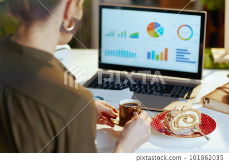 Seen from behind modern female with documents and laptop 101862035