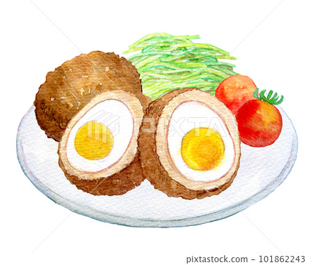 Scotch egg watercolor illustration hand-drawn illustration Scotch egg watercolor illustration hand-drawn illustration 101862243