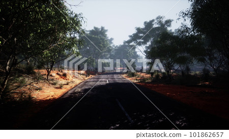 Winding road crossing the savanna Winding road crossing the savanna 101862657