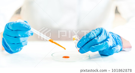 a scientist examines a chemical sample on a peri dish in a laboratory. banner with copy space 101862878