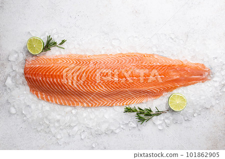 Raw salmon or trout sea fish 101862905