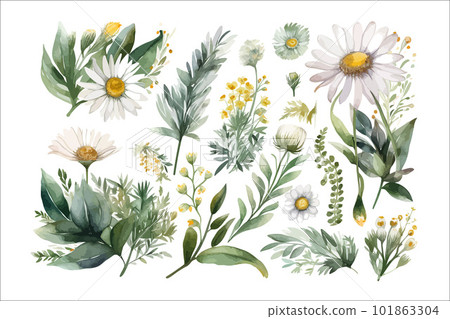 Watercolor floral illustration elements set - green leaves, pink peach blush white flowers, branches. Decorative flower elements template. Flat cartoon illustration isolated on white background 101863304