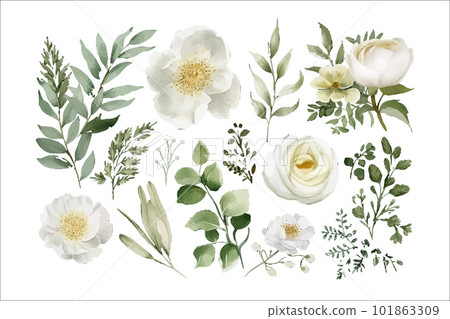 Watercolor floral illustration set. Decorative flower elements template. Flat cartoon illustration isolated on white background 101863309