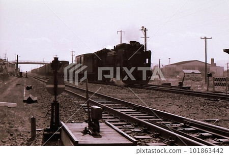 1975年D51牽引貨運列車北海道室蘭本線白老老照片紀實照片 101863442