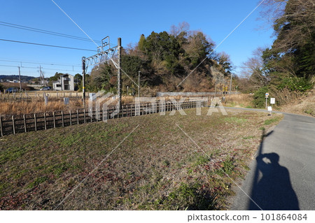 漫步大江 101864084