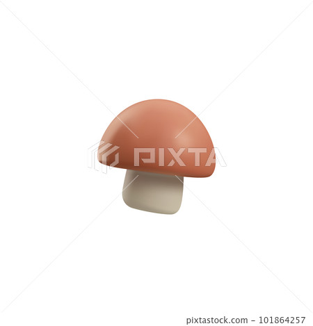 Champignon or white mushroom in cute 3d style, vector illustration isolated on white background. Champignon or white mushroom in cute 3d style, vector illustration isolated on white background. 101864257