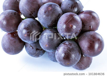 Grapefruit Grapefruit 101864636