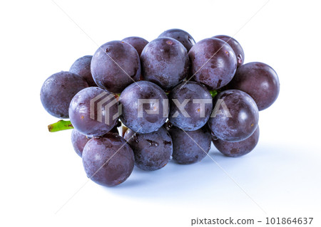 Grapefruit Grapefruit 101864637