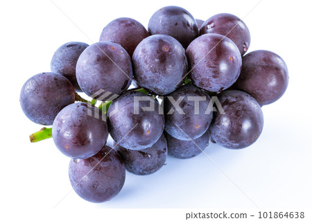 Grapefruit 101864638