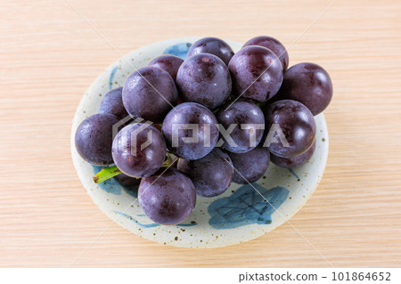 Grapefruit Grapefruit 101864652