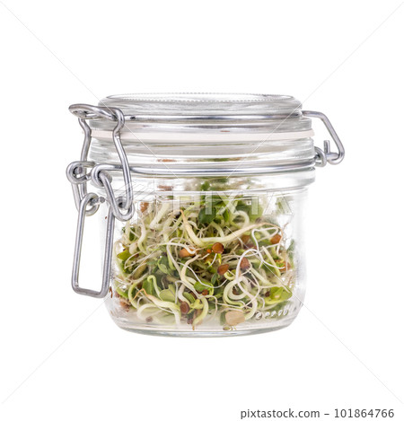 Fresh sprouts 101864766