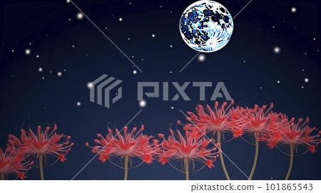 月夜 AI 圖像上的彼岸花 月夜 AI 圖像上的彼岸花 101865543