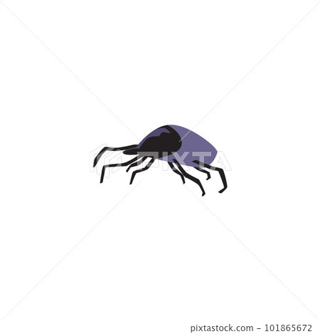 Tick or mite bug, flat vector illustration isolated on white background. Tick or mite bug, flat vector illustration isolated on white background. 101865672