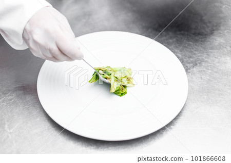 Chef putting iceberg lettuce 101866608