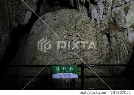 Akiyoshi Cave/Sotetsuiwa 101867032