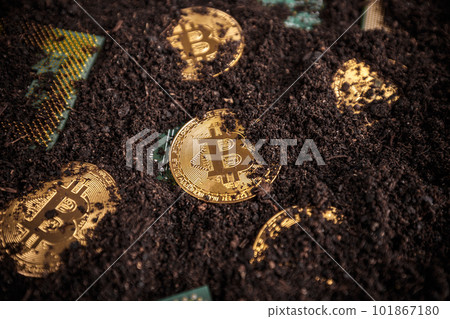 New virtual money New virtual money 101867180