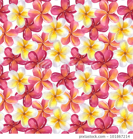 Seamless pattern Frangipani plumeria yellow pink flowers. Jungle tropical exotic foliage. Hand-drawn watercolor illustration isolated 101867214