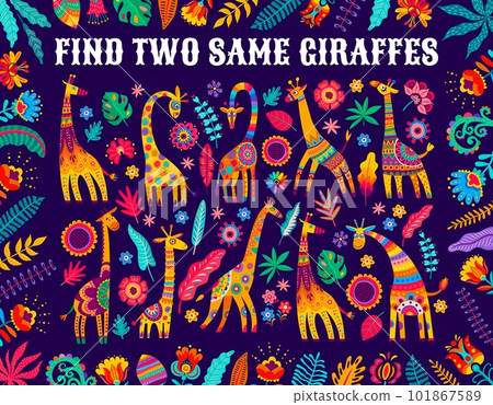 Find two same African giraffes, kids game worksheet with bright flowers, leaves and vector floral elements. Puzzle quiz to find two same objects of African animals and plants, riddle game worksheet Find two same African giraffes, kids game worksheet with bright flowers, leaves and vector floral elements. Puzzle quiz to find two same objects of African animals and plants, riddle game worksheet 101867589