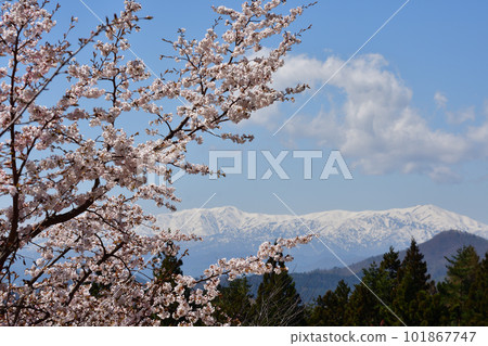 Urabandai Sakura Pass Urabandai Sakura Pass 101867747