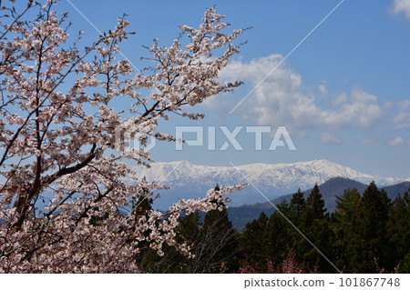 Urabandai Sakura Pass Urabandai Sakura Pass 101867748
