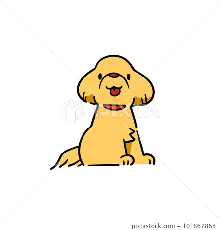 動物狗拉布拉多可愛流行 101867863