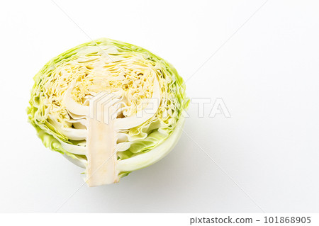 切白菜 101868905