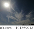 phoenix and dragon cloud 101869048