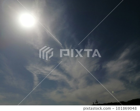 phoenix and dragon cloud 101869048