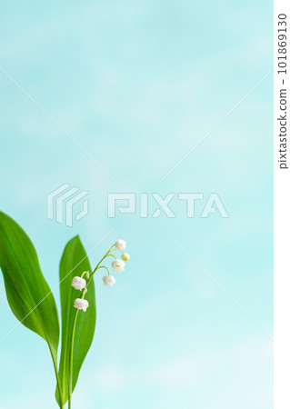 Lily of the valley flower frame 101869130