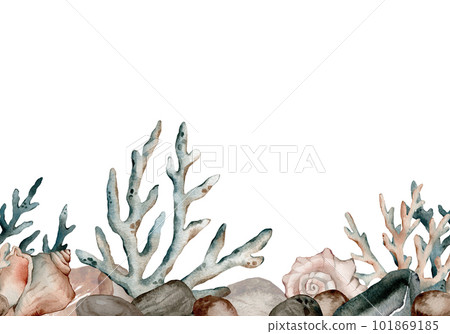 Seamless repeating border with watercolor seaweed and coral, fish. Hand painted stone, seashells pattern. Watercolor vintage ocean background. Original hand drawn illustration. Marine design. Seamless repeating border with watercolor seaweed and coral, fish. Hand painted stone, seashells pattern. Watercolor vintage ocean background. Original hand drawn illustration. Marine design. 101869185
