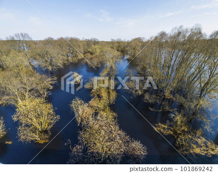 Spring forest and floods. Reflection in the water. View from above. Spring forest and floods. Reflection in the water. View from above. 101869242