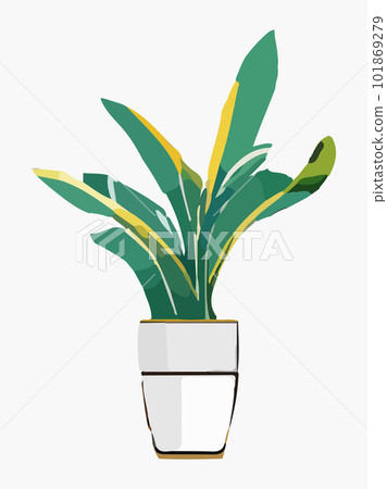 Plant in pot vector illustration. Cartoon flat different indoor potted decorative houseplant for interior home or office decoration, green garden floral icon isolated on white. 101869279