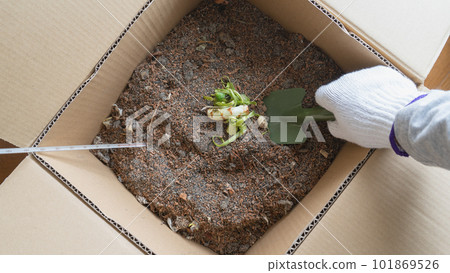 Image of eco-friendly cardboard composting at home 101869526