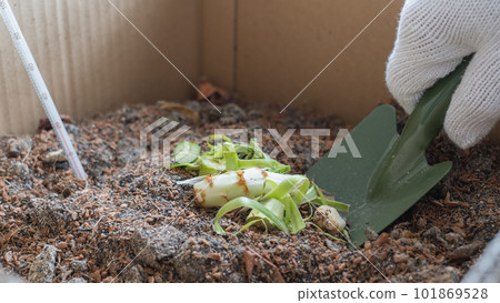 在家中進行環保紙板堆肥的圖片 101869528