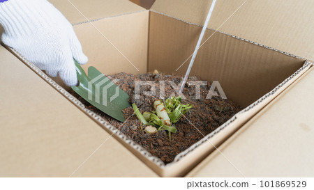 在家中進行環保紙板堆肥的圖片 101869529