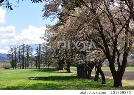 春天的牧場 101869870