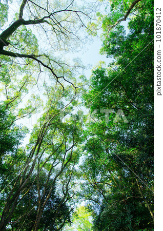 Natural material image 101870412