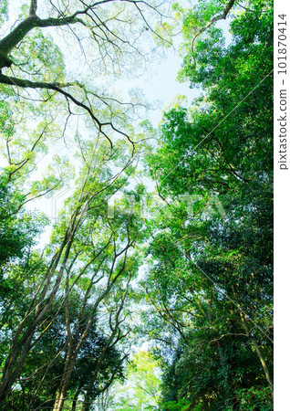 Natural material image 101870414