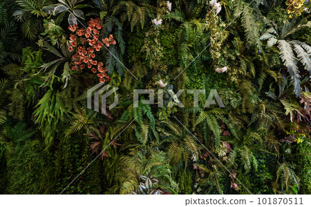 Herb wall, plant wall, natural green wallpaper and background. 101870511