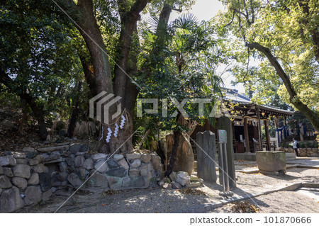 大阪天王寺/安井神社(攝於2023年4月1日) 大阪天王寺/安井神社(攝於2023年4月1日) 101870666