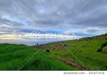 The green slope of an island in the Atlantic Ocean. 101871416