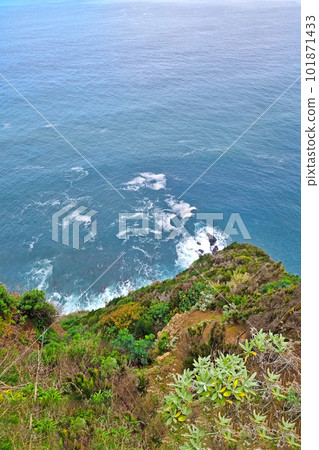A bird's-eye view of the coast in the ocean or sea. 101871433