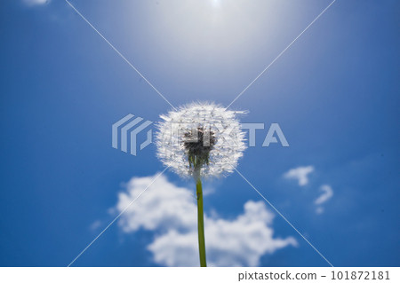 天氣不錯! 天氣不錯! 101872181
