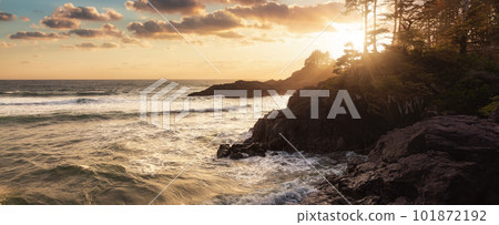 Rocky Shore on West Coast of Pacific Ocean in Tofino Rocky Shore on West Coast of Pacific Ocean in Tofino 101872192