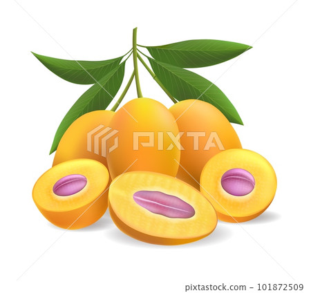 Ripe marian plums 101872509