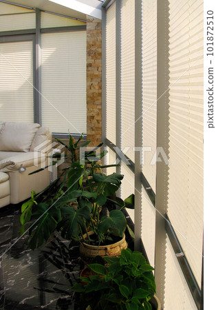 Pleated blinds with orange folded fabric on the window close up. On the windowsill stands home plant in yellow flower pot. Cordless bottom up top down pleated shade with white lower bar. Pleated blinds with orange folded fabric on the window close up. On the windowsill stands home plant in yellow flower pot. Cordless bottom up top down pleated shade with white lower bar. 101872510