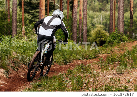 rear view male racer riding on forest path downhill race, mountain bike competition in pine woodland 101872617