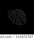 The single line art monstera leaf is white on a black background. Vector illustration 101872787